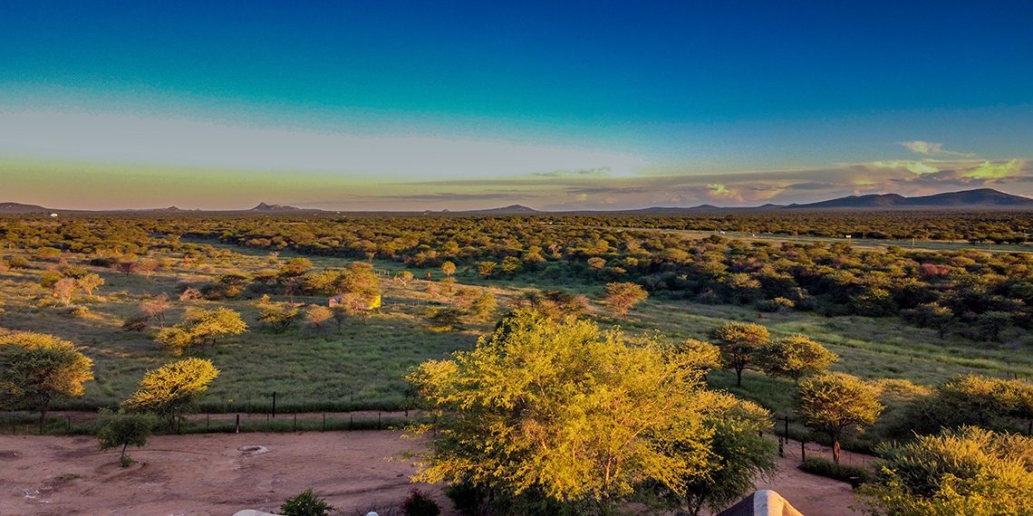 Lions Den Guest House